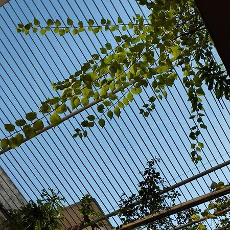 Divine View - 1 Bhk Ac - Swarna Bhavan بوري المظهر الخارجي الصورة